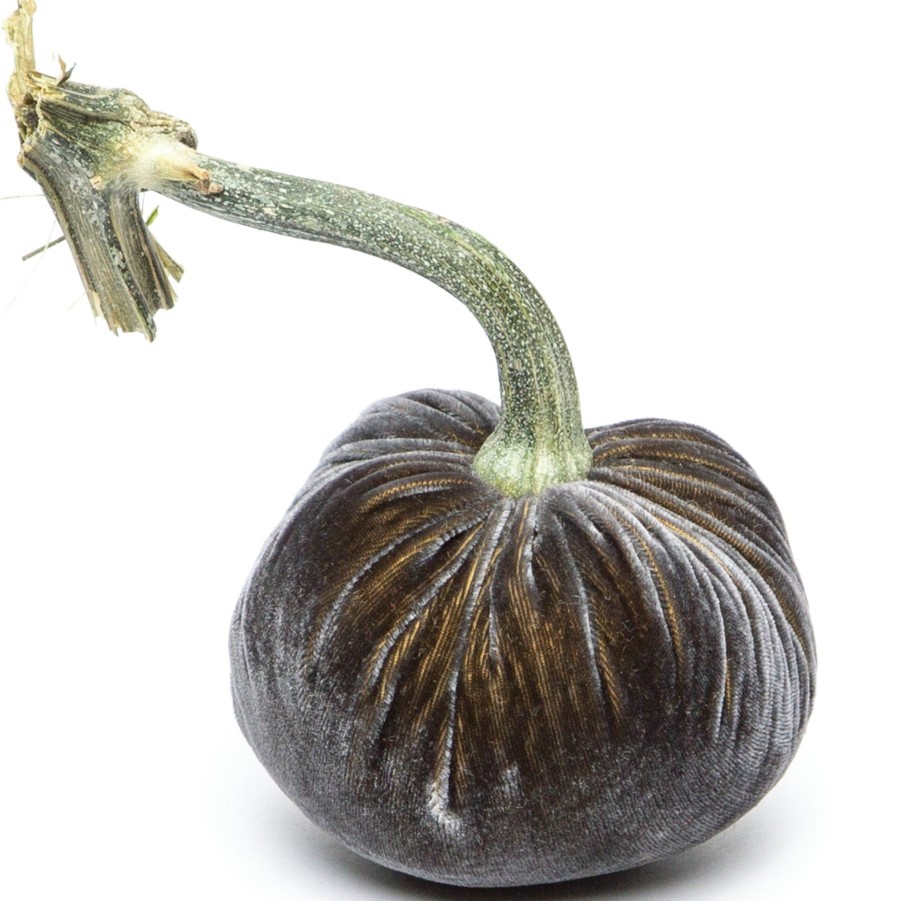 Products Hot Skwash | Graphite Silk Velvet Pumpkin