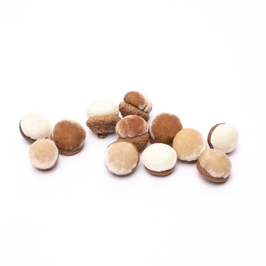 Products Hot Skwash | Neutral Acorns-12