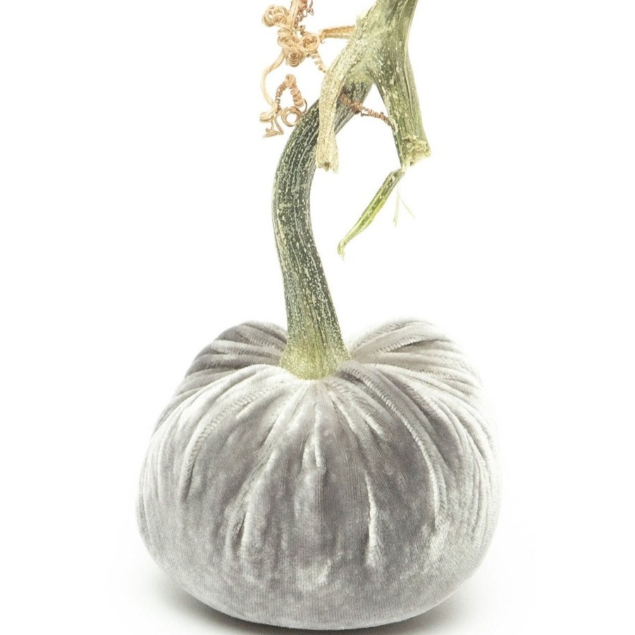 Products Hot Skwash | Grey Silk Velvet Pumpkin