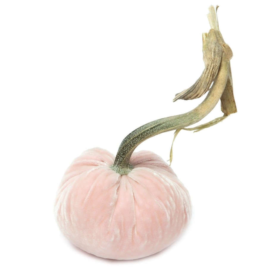 Products Hot Skwash | Blush Silk Velvet Pumpkin