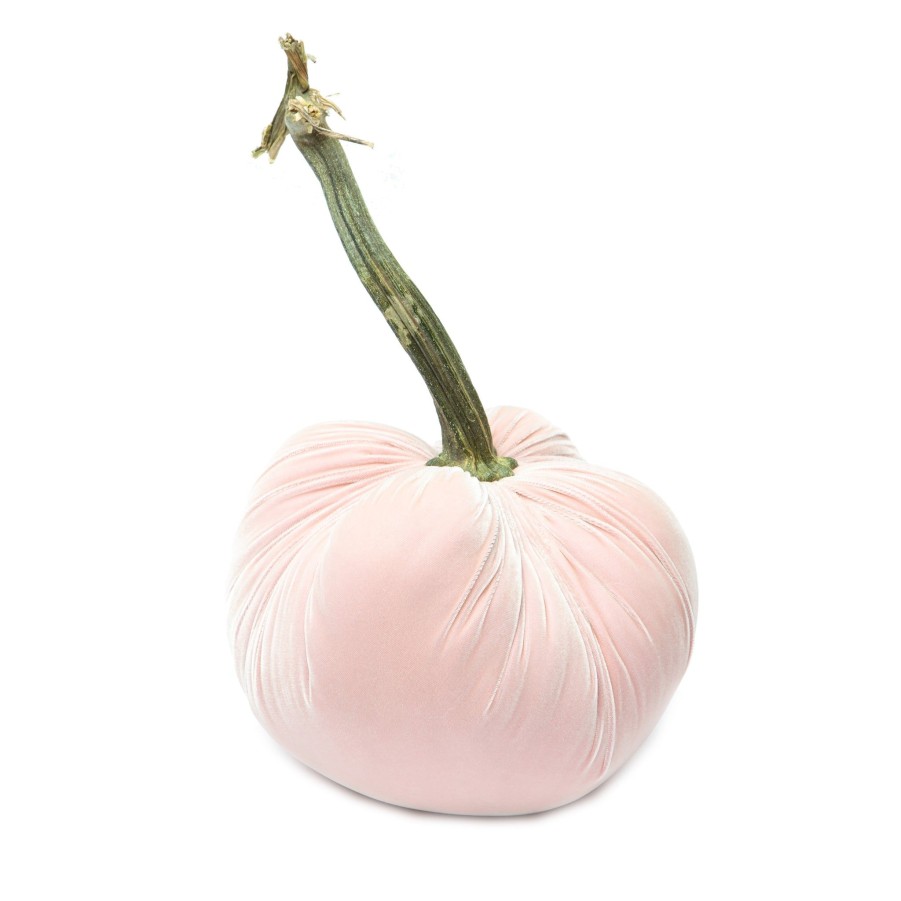 Products Hot Skwash | Blush Silk Velvet Pumpkin