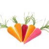 Products Hot Skwash | Sweet Spring Carrots