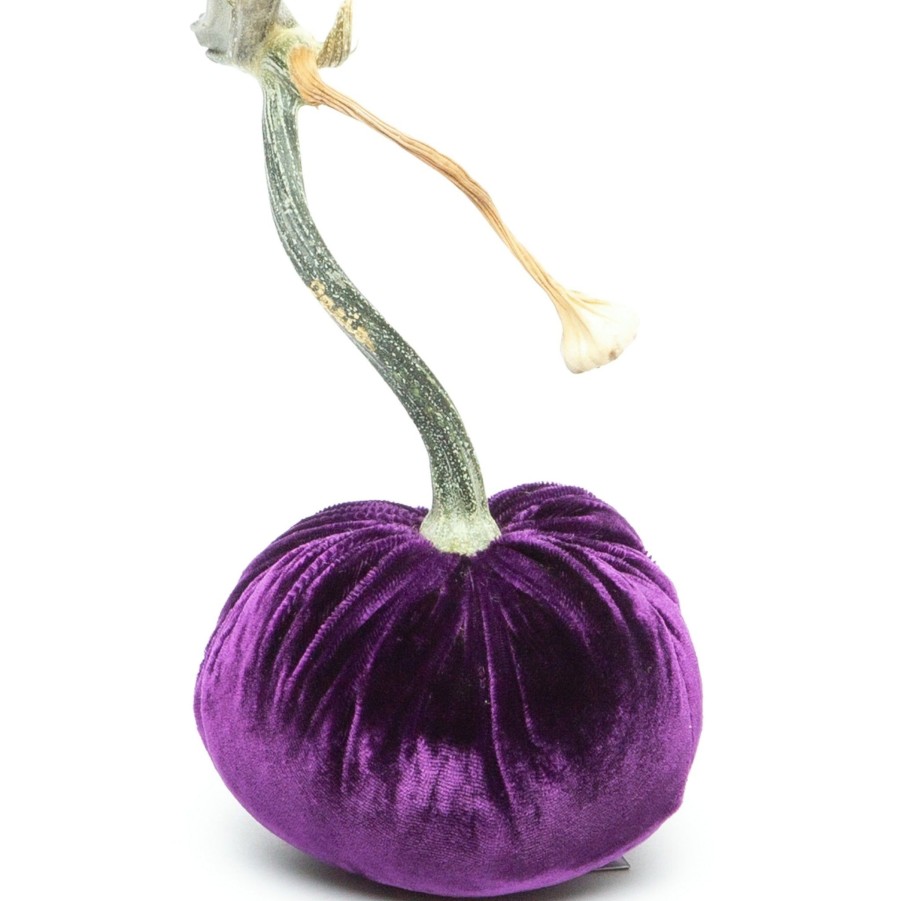 Products Hot Skwash | Violet Silk Velvet Pumpkin