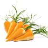 Products Hot Skwash | Bushel Of Carrots