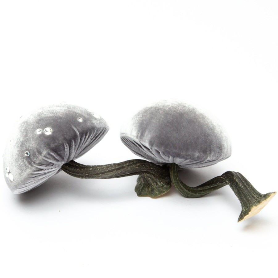 Products Hot Skwash | Small Grey Mushroom