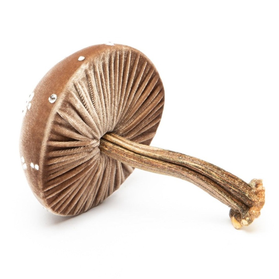 Products Hot Skwash | Medium Mocha Mushrooms