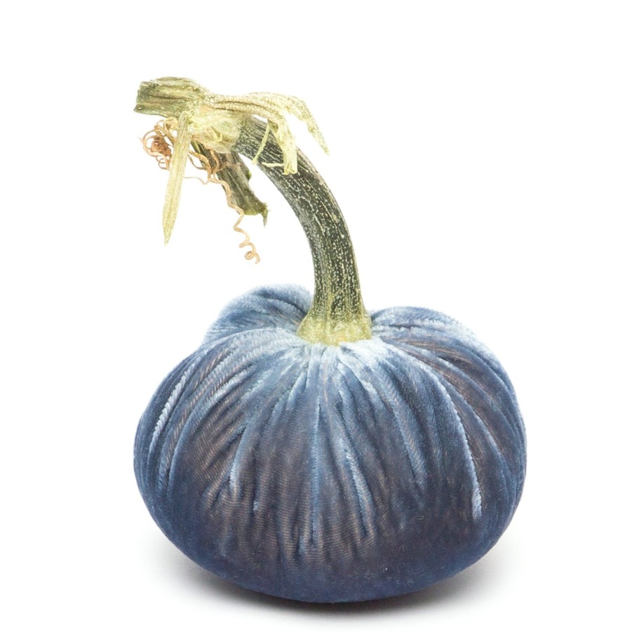 Products Hot Skwash | Denim Silk Velvet Pumpkin