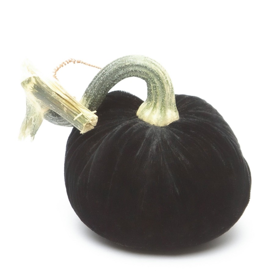 Products Hot Skwash | Ebony Silk Velvet Pumpkin