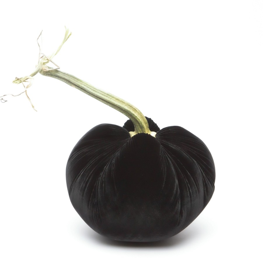 Products Hot Skwash | Ebony Silk Velvet Pumpkin