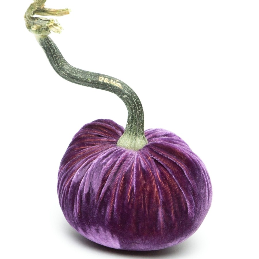 Products Hot Skwash | Orchid Silk Velvet Pumpkin