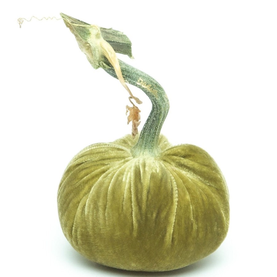 Products Hot Skwash | Celery Silk Velvet Pumpkin