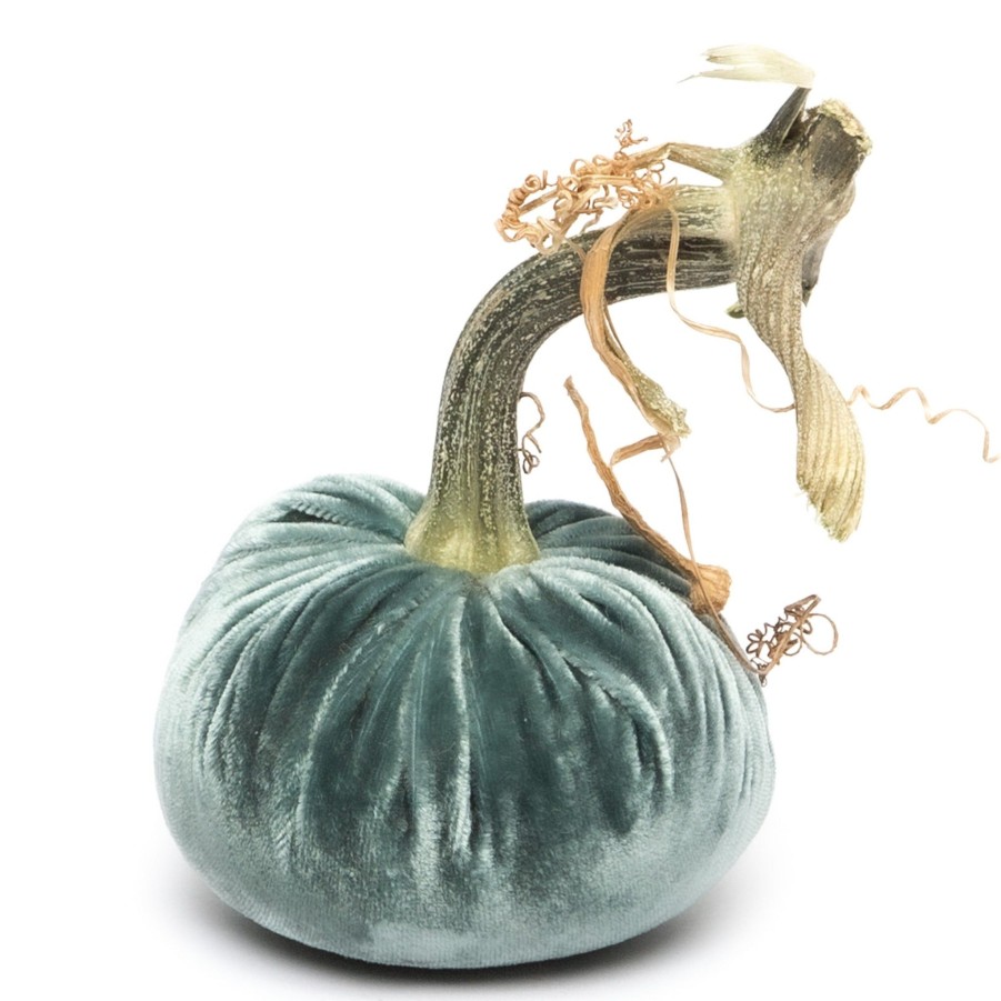 Products Hot Skwash | Wedgewood Silk Velvet Pumpkin