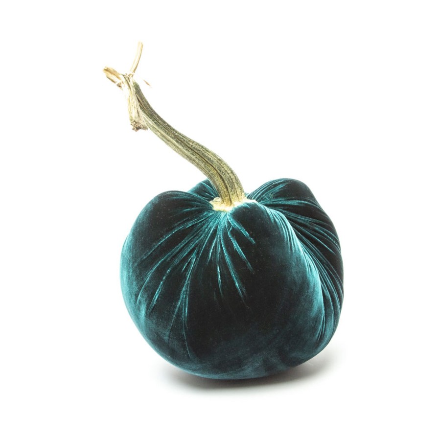 Products Hot Skwash | New! Sea Silk Velvet Pumpkin