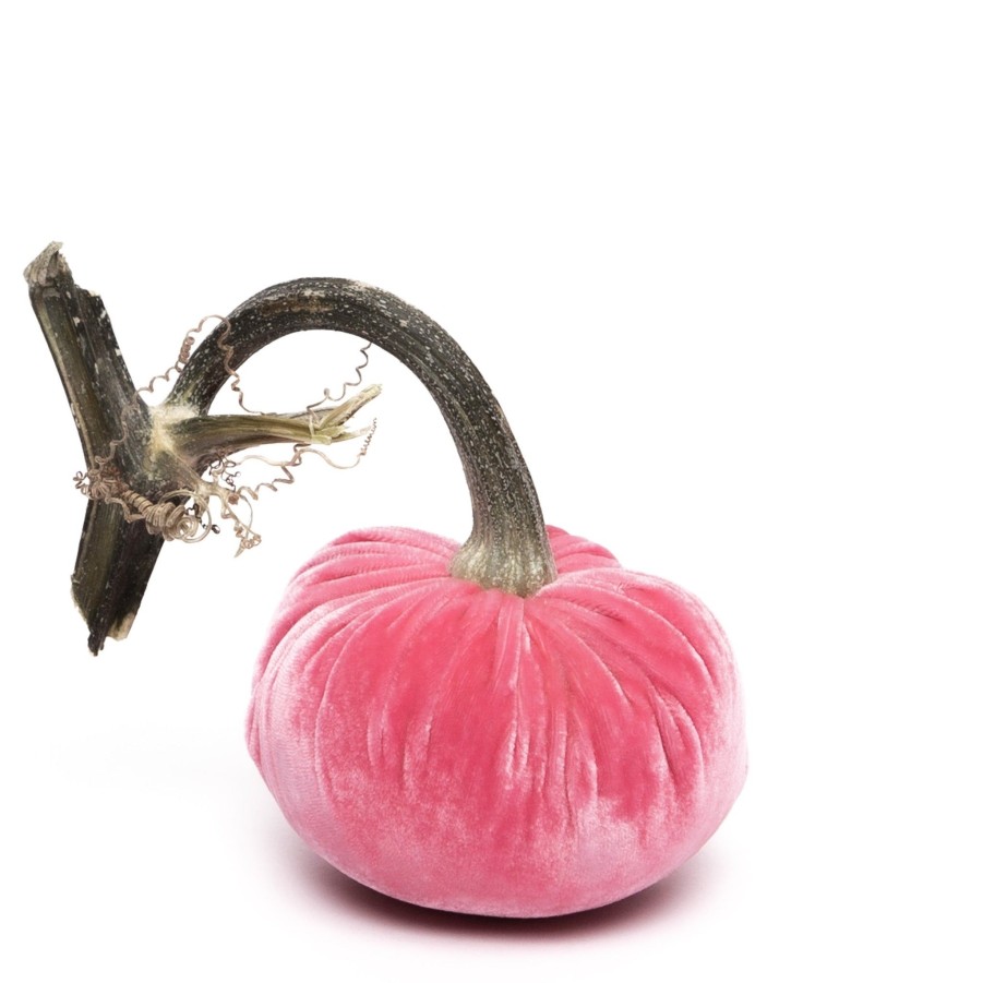 Products Hot Skwash | Bubblegum Silk Velvet Pumpkin