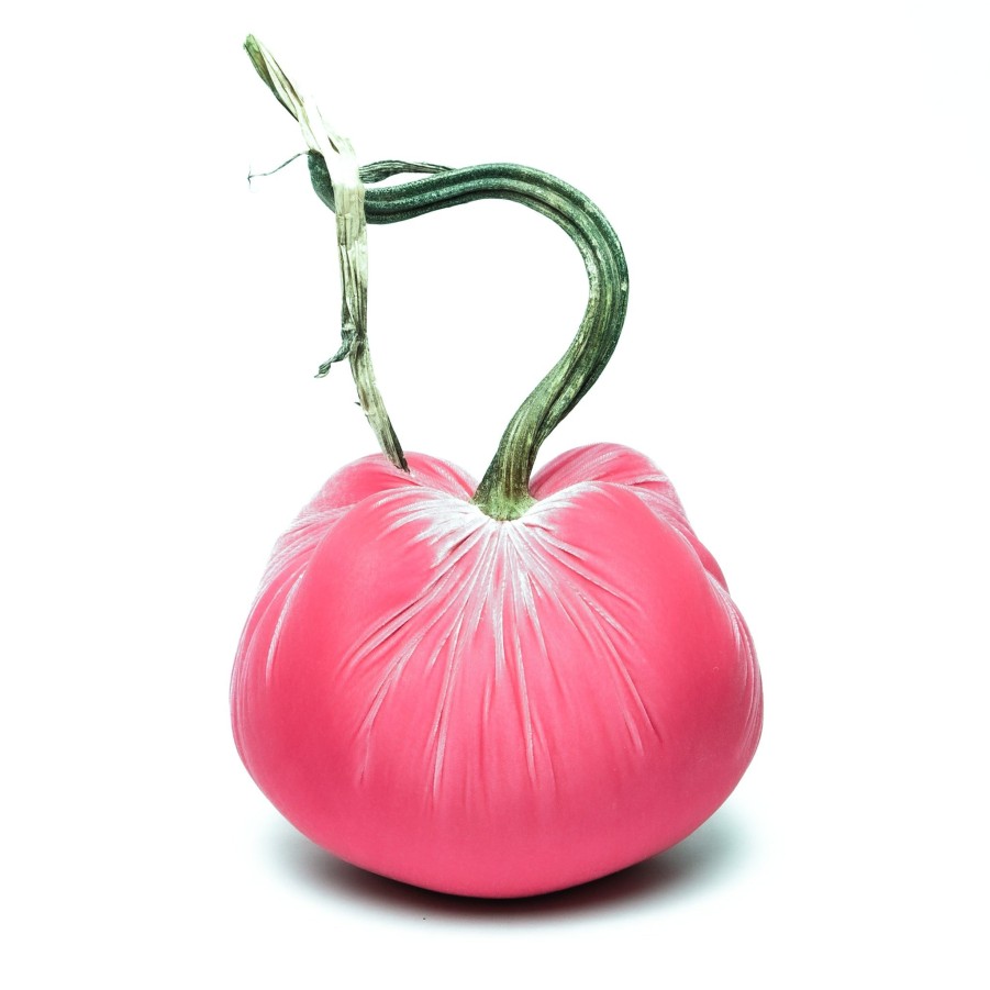 Products Hot Skwash | Bubblegum Silk Velvet Pumpkin