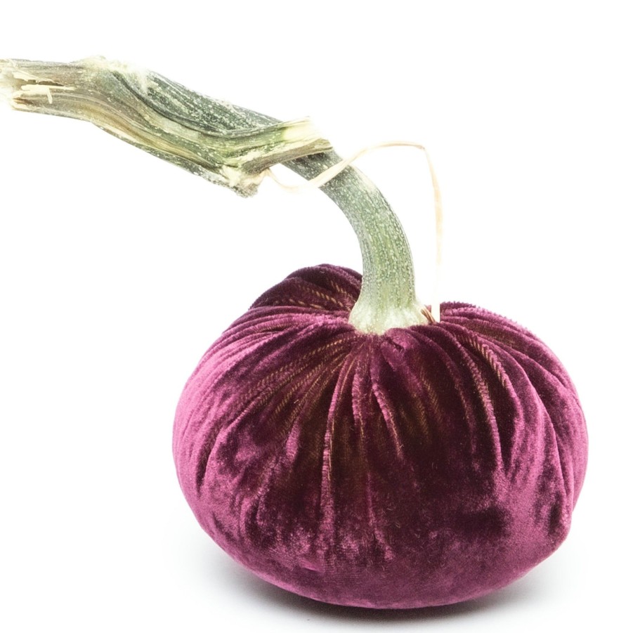 Products Hot Skwash | Eggplant Silk Velvet Pumpkin