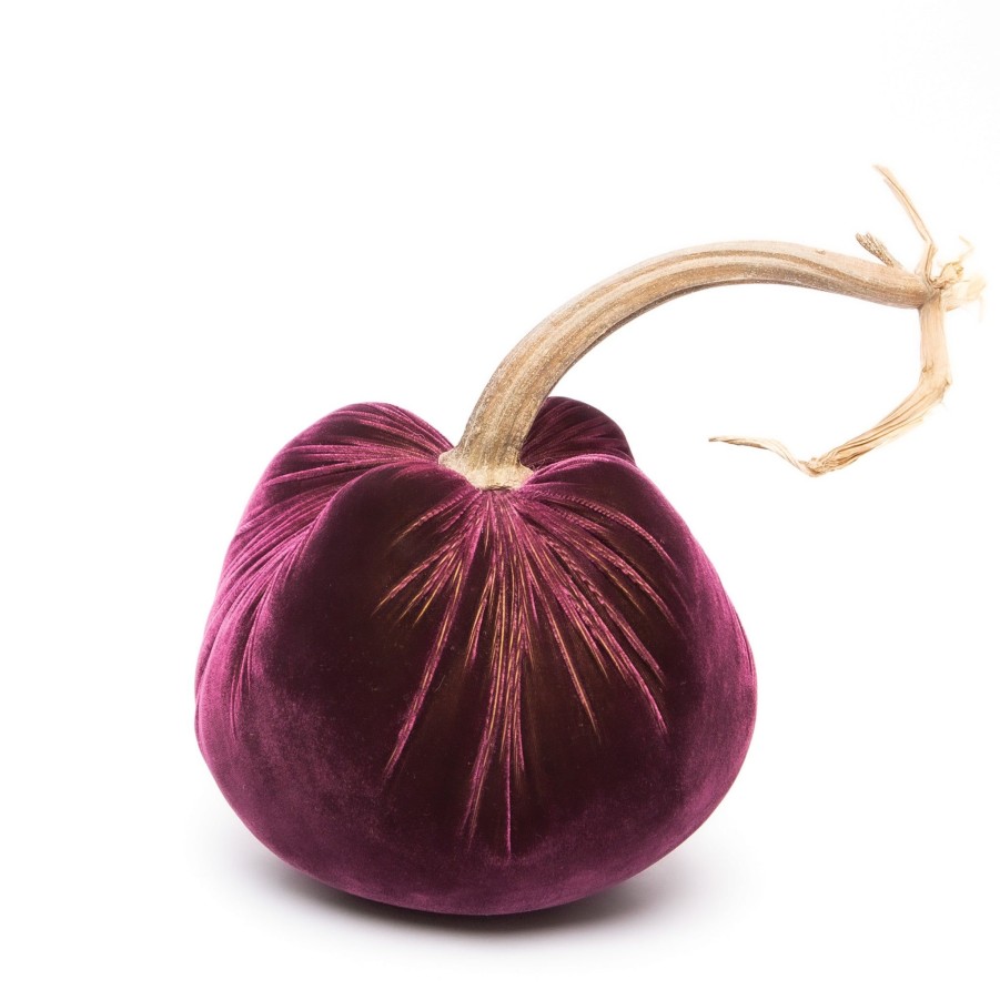 Products Hot Skwash | Eggplant Silk Velvet Pumpkin