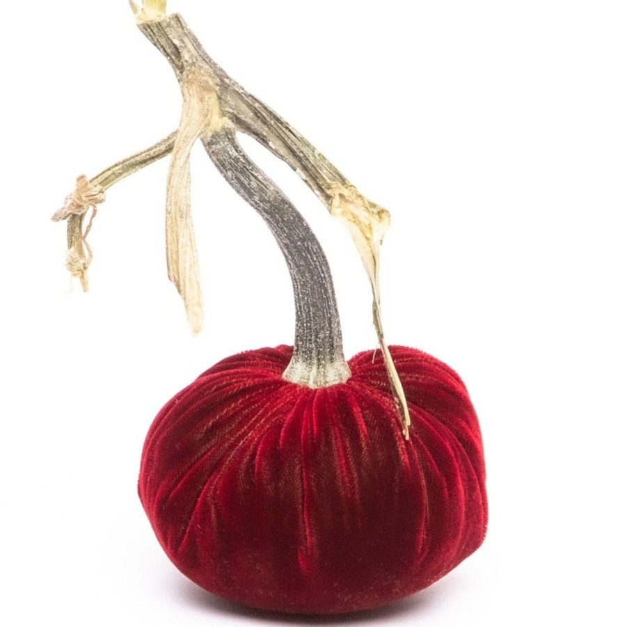 Products Hot Skwash | Pomegranate Silk Velvet Pumpkin