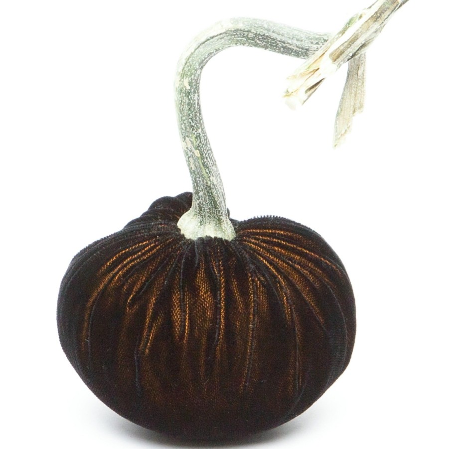 Products Hot Skwash | Black Gold Silk Velvet Pumpkin