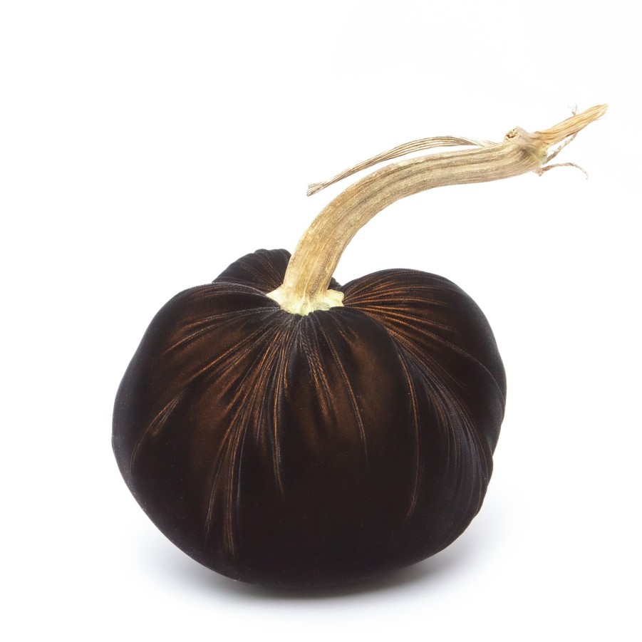 Products Hot Skwash | Black Gold Silk Velvet Pumpkin