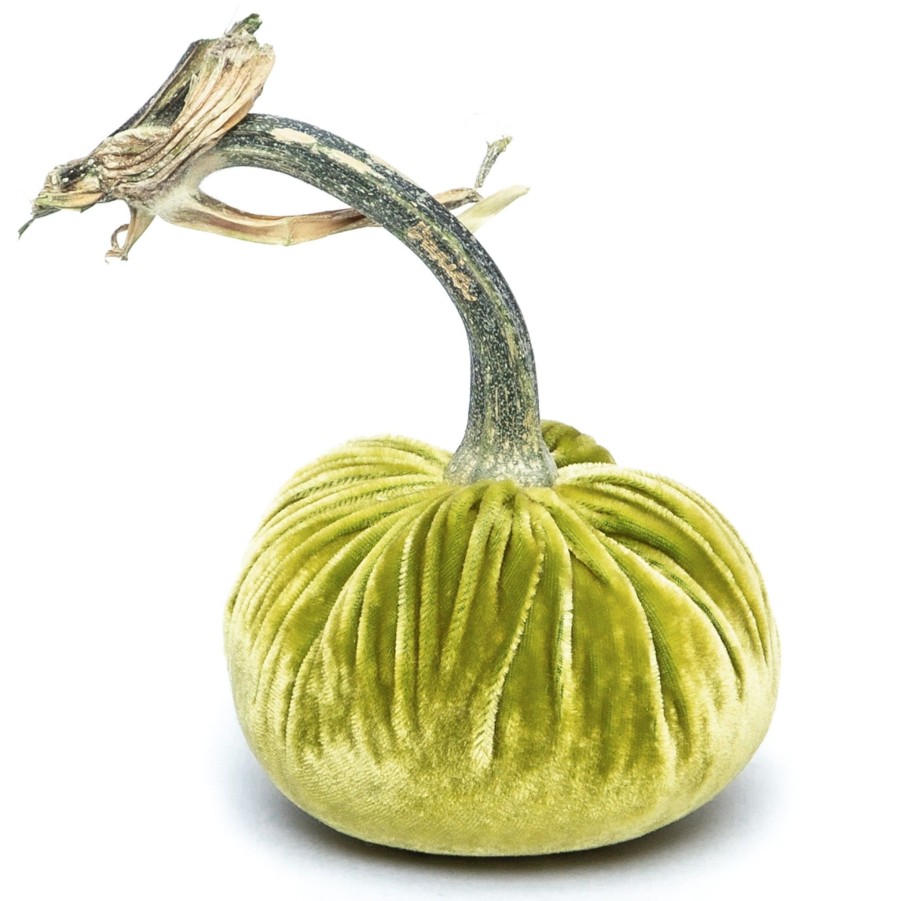 Products Hot Skwash | Chartreuse Silk Velvet Pumpkin