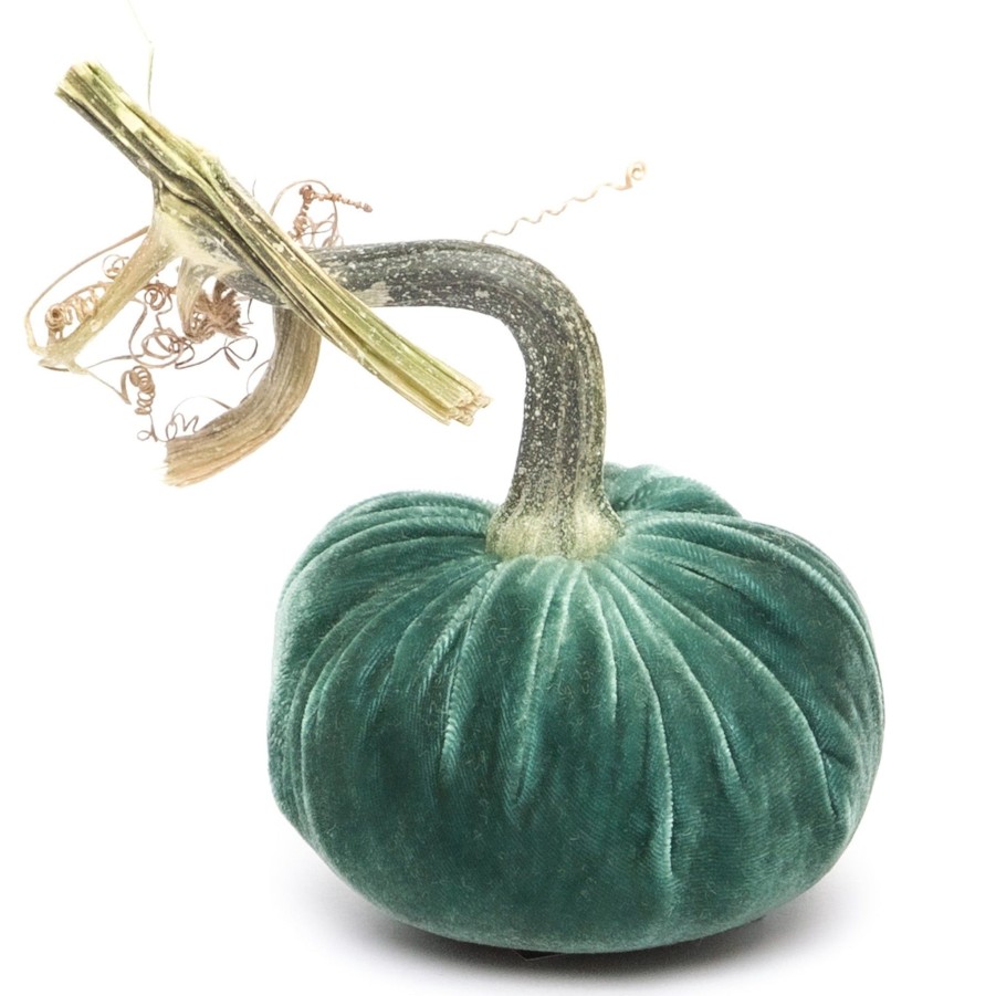 Products Hot Skwash | Ocean Silk Velvet Pumpkin