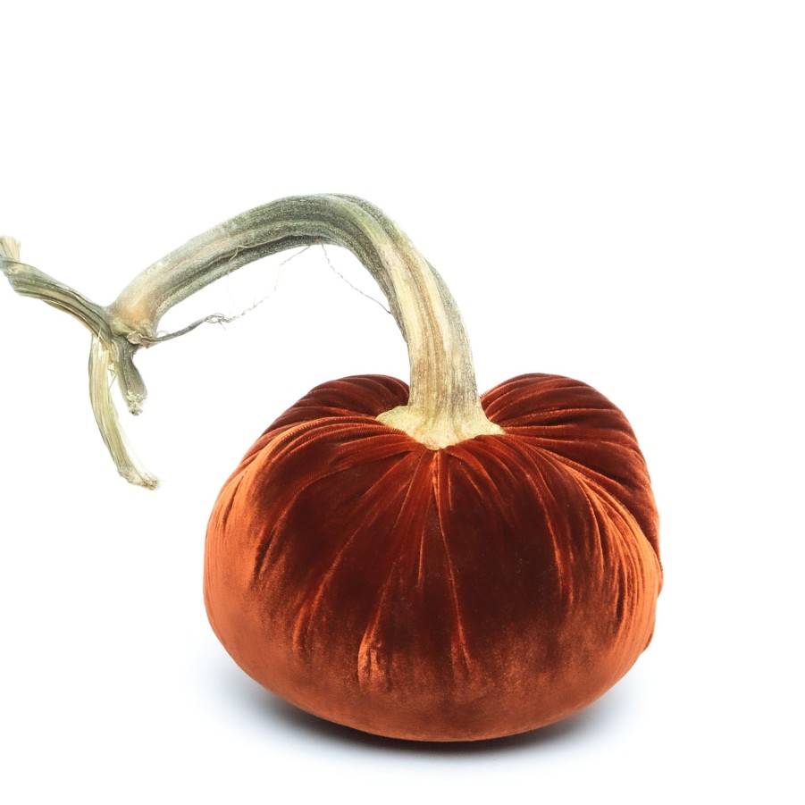 Products Hot Skwash | Fire Silk Velvet Pumpkin