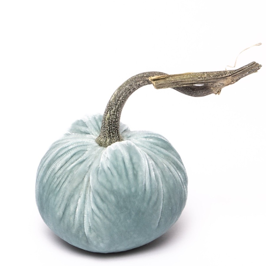 Products Hot Skwash | Seafoam Silk Velvet Pumpkin