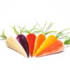 Products Hot Skwash | Farmers Carrot Sample Set