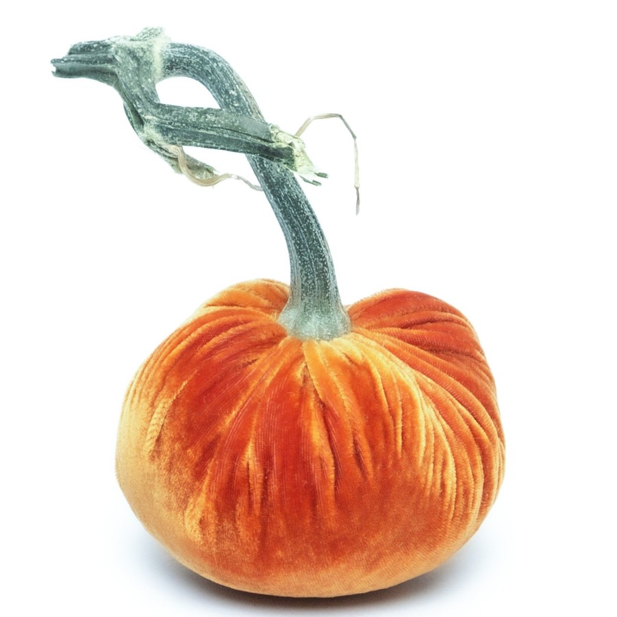 Products Hot Skwash | Persimmon Silk Velvet Pumpkin