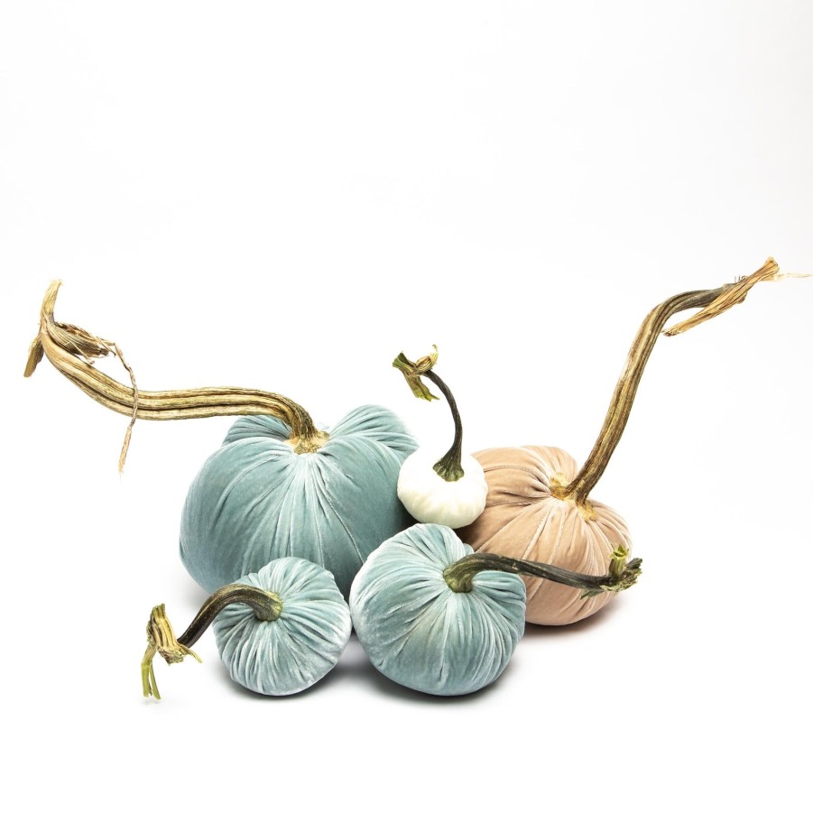 Products Hot Skwash | Seafoam Pumpkins-5 Piece Set 027